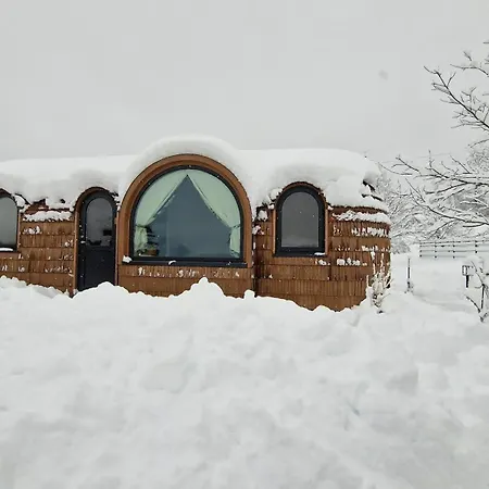 Semesterbostad Igluhut Four Seasons *